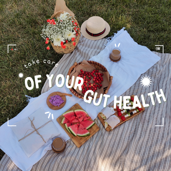 factors affecting your gut health